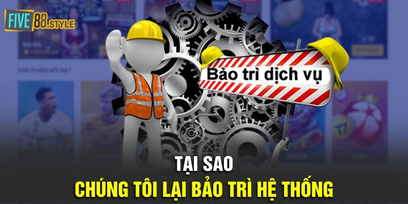Tại sao chúng tôi lại bảo trì hệ thống?